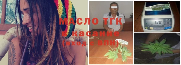 прущие грибы Кулебаки