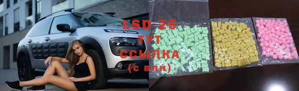 прущие грибы Кулебаки