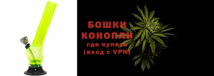 прущие грибы Кулебаки
