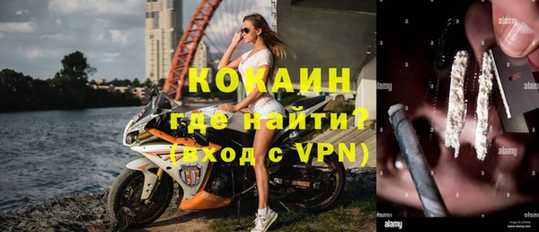 прущие грибы Кулебаки