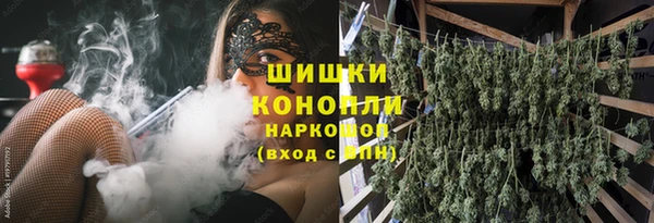 прущие грибы Кулебаки