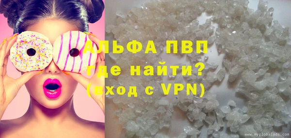 прущие грибы Кулебаки