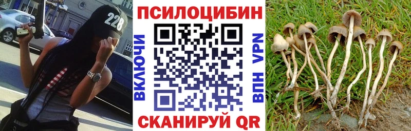 Галлюциногенные грибы GOLDEN TEACHER  Иноземцево 